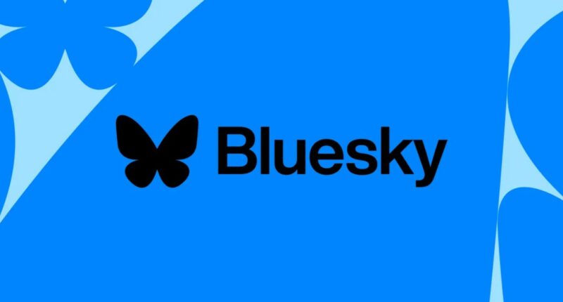 Bluesky is getting ‘communities’ | The Verge