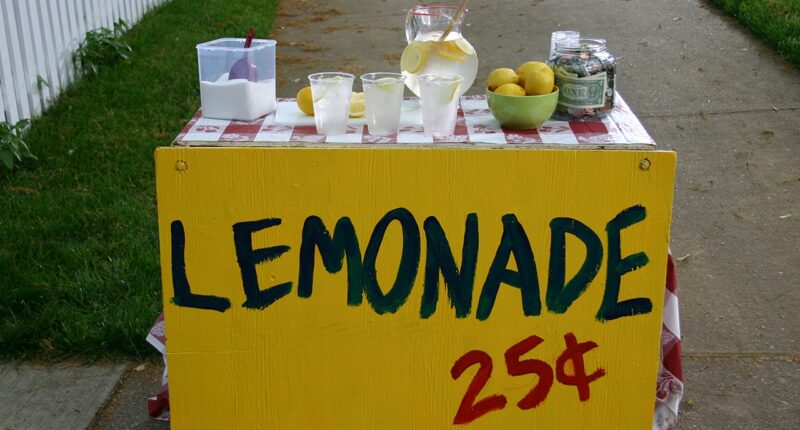 Boston police investigate armed robbery of children's lemonade stand by suspects as young as 11