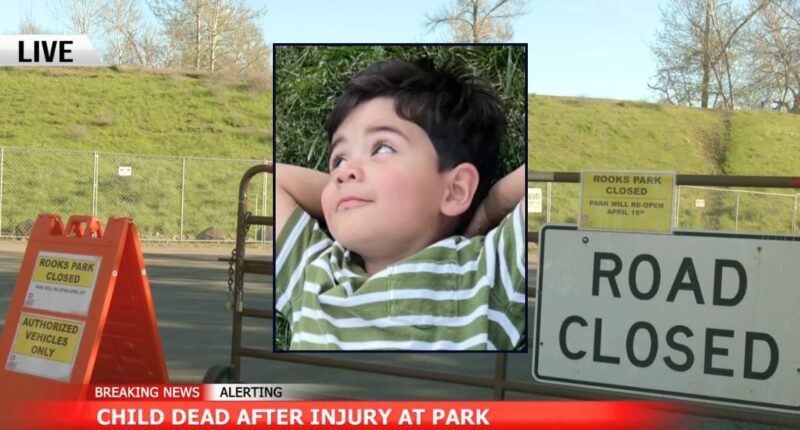 Boy, 3, crushed by unstable park monument: Lawsuit