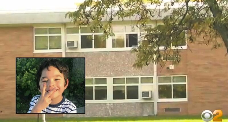 Boy starved after 'excessive' absences, school blamed: Suit
