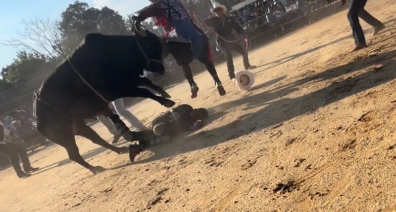 Bronx rodeo where rider was hurled from bull and trampled on didn't have permit: report