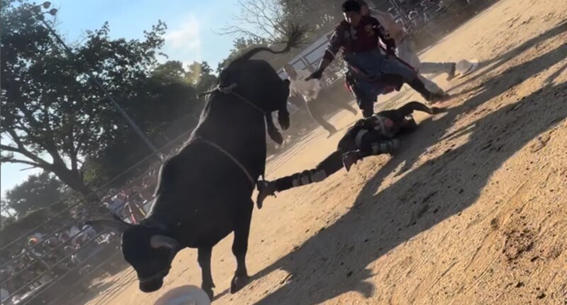 Bull rider, 25, hospitalized after being trampled at NYC rodeo: video