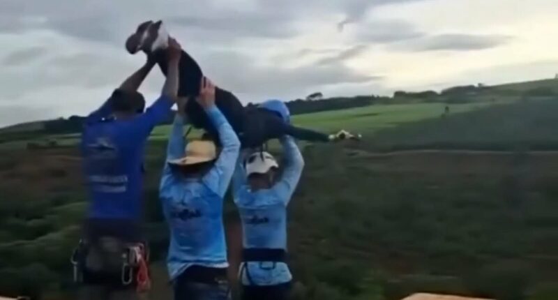 Bungee jump workers interrogated after throwing woman to death