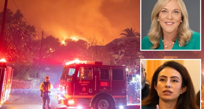 Burned Altadena faces corporate buyout