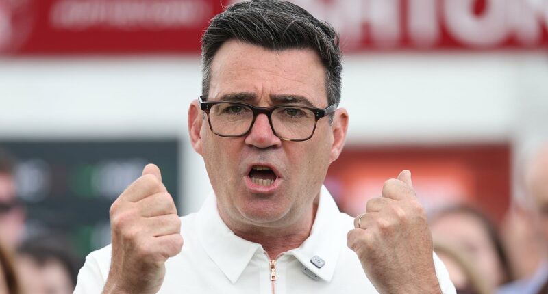 Burnham vows to nationalise utilities if he take Keir's place in No.10