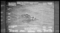 video of apprehension