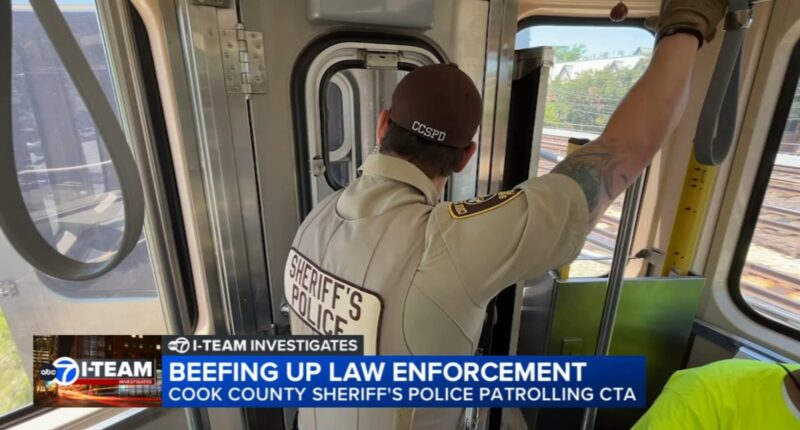 CTA safety: Cook County sheriff says dedicated CTA police force may be needed for safety on Chicago's public transit train system