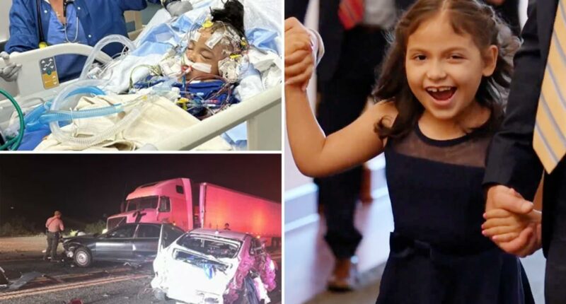 California 7-year-old left with half a skull after crash involving undocumented truck driver shares touching moment with Trump's top brass