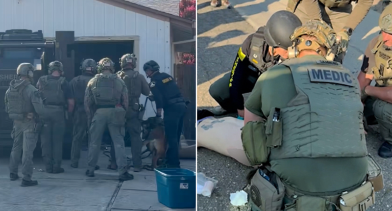 California deputies use magnet-equipped drone to disarm knife-wielding sex offender hidden in garage