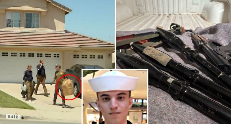 California man accused of ISIS terror plot with ex-Navy sailor to blow up Special Forces issues pitiful statement