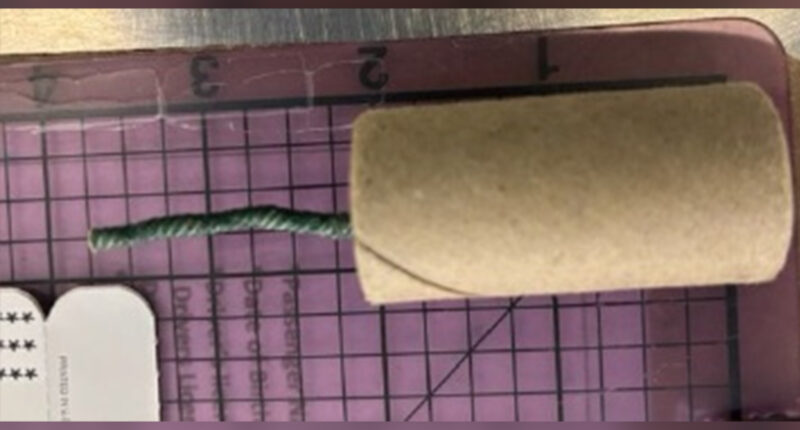 California man charged with bringing explosives to Sacramento airport after repeatedly calling FBI tip line
