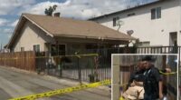 California mom Melissa Lynn Beisel charged with murdering her toddler son and staging death as accidental drowning