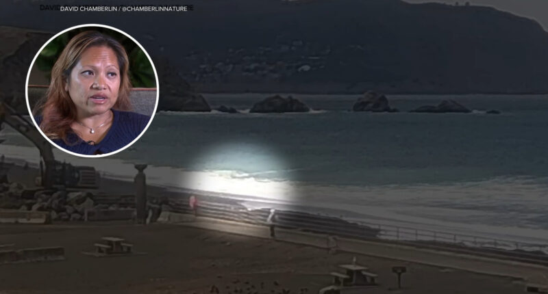 California sneaker waves: Bae Cadotte lives to tell story after surviving Pacifica, California sneaker wave south of Pacifica Pier