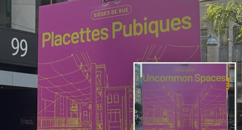 Canadian street signs promote 'pubic squares' in cringe gaffe