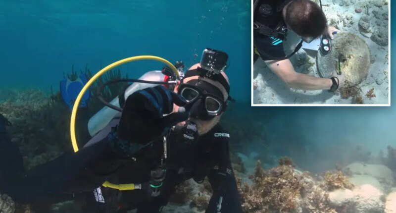 Centuries-old pirate mystery deepens after wrecks are found near Bahamas haven