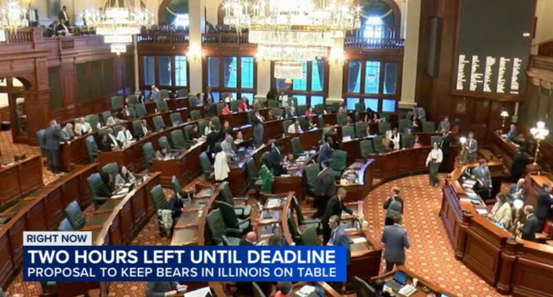 Chicago Bears stadium news: Senate files compromise bill to keep Bears in Illinois as lawmakers race against time