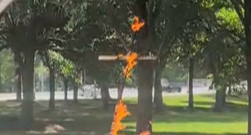 Chicago police investigate after burning cross found in Grant Park