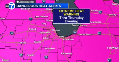 Chicago weather forecast: NWS Extreme Heat Warning in effect for entire area