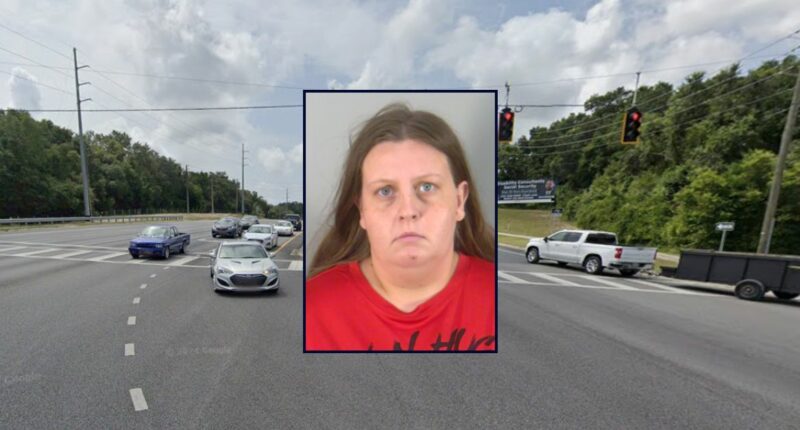 Child escapes daycare, darts across busy highway: Cops