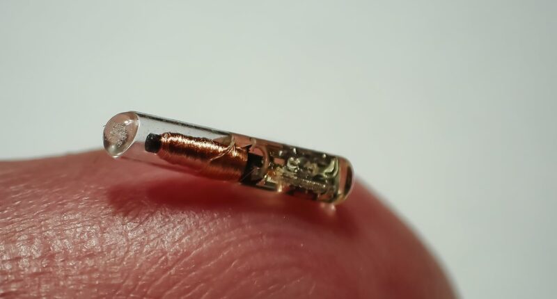 Chips could be put under prisoners' skin to track them - tech bosses