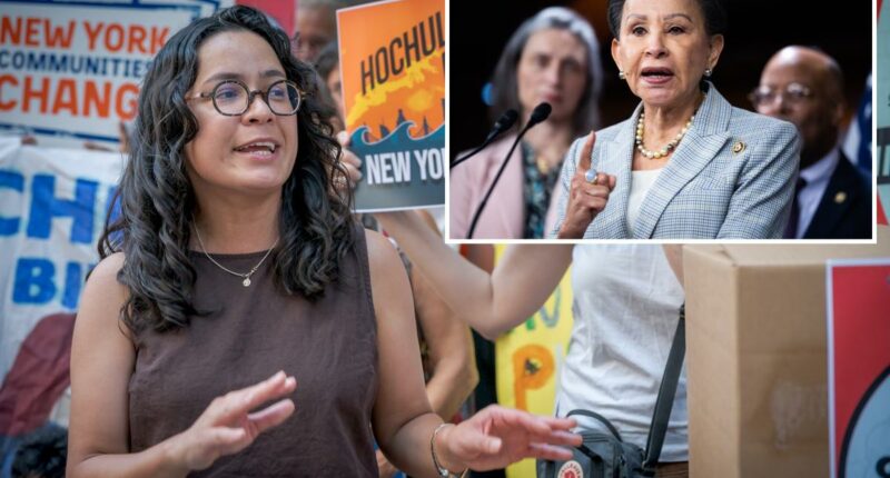 'Complete hypocrite:' Mamdani-backed Congress candidate slams billionaires and AI industry while raking in their cash