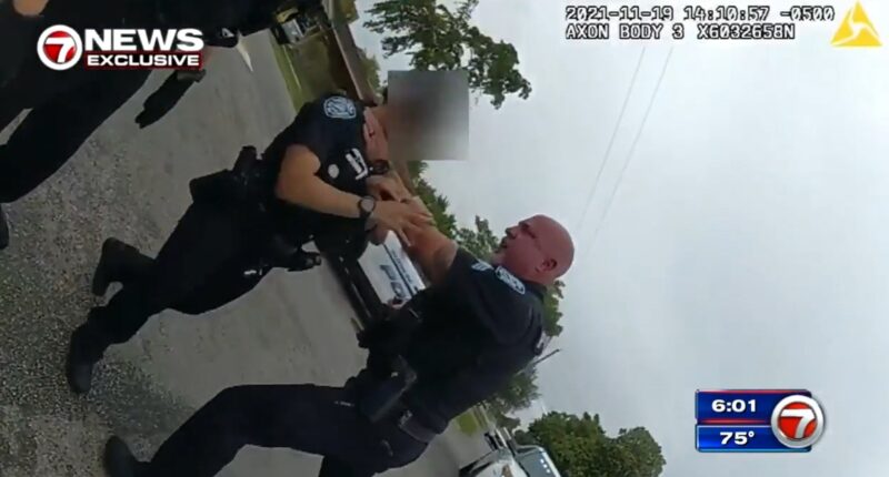 Cop who grabbed officer by throat may have charges dropped