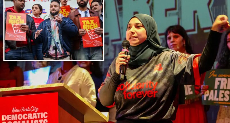 DSA candidates poised to hit Albany with a red wave after NY state primary elections