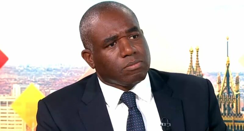 David Lammy: I told JD Vance he's 'wrong' on Henry Nowak case