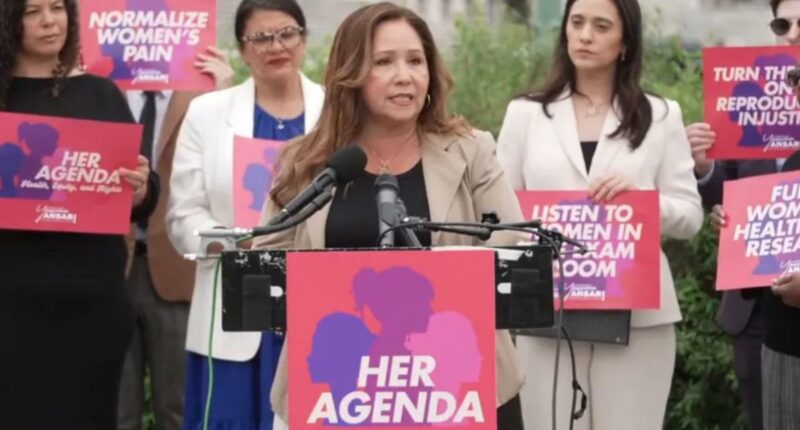 Democrats call lack of menstrual leave 'economic violence' in push for new federal law