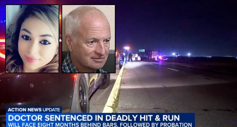 Doctor hits and kills nurse mom helping car crash victim