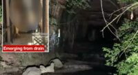 Dozens of teenage girls rescued from NY sewer system after exploration attempt goes wrong