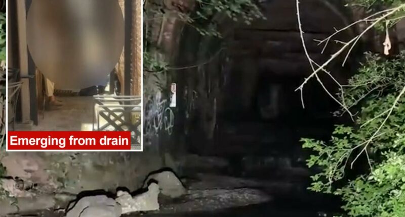 Dozens of teenage girls rescued from NY sewer system after exploration attempt goes wrong