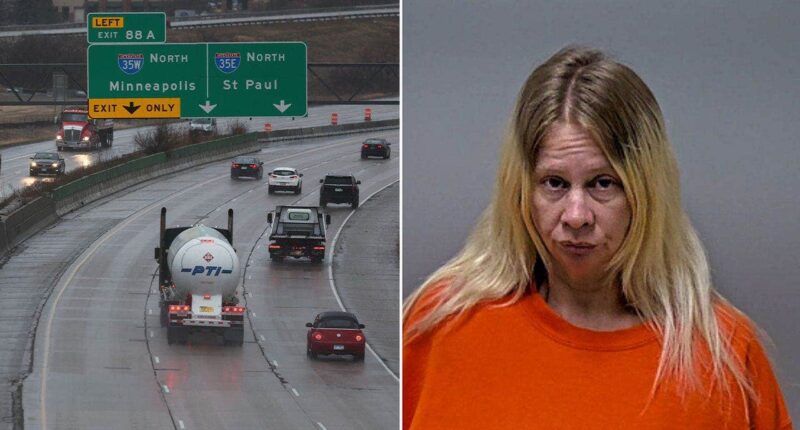 Driver accused of killing 82-year-old in head-on crash claims her dog seized the steering wheel beforehand