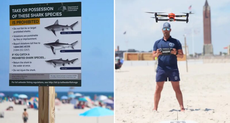 Drones are key at keeping shark attacks down on Long Island