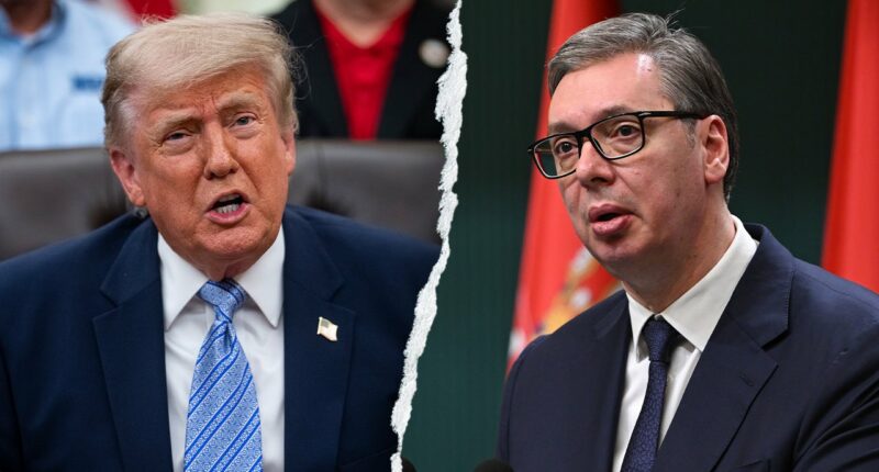 EXCLUSIVE: Serbian President Vučić says support for US 'surged' under Trump, invites him to visit Belgrade