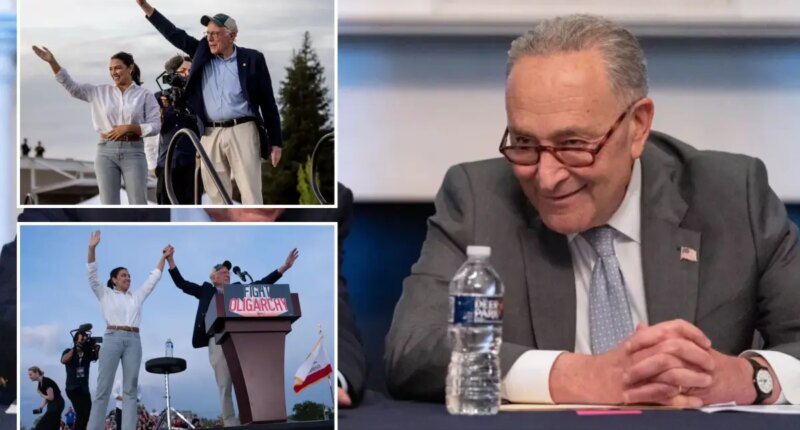Even Schumer could get on AOC train if she opts for the White House