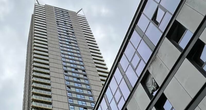 Family who fell from London tower block lived in luxury apartment