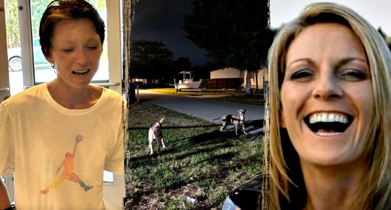 Florida woman mauled to death by dogs that had allegedly terrorized neighborhood, owner charged in killing