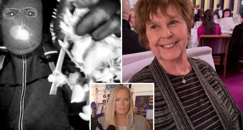Former FBI agent claims investigators are closing in on 'porch guy' in Nancy Guthrie case -- leaving Megyn Kelly stunned