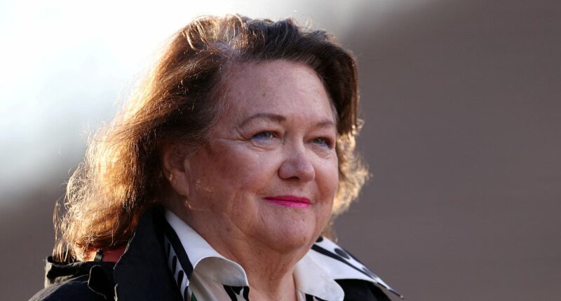Gina Rinehart reveals her bold plan for Australia as she gives Pauline Hanson a bulldozer to cut government waste