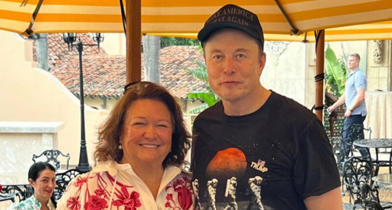 Gina Rinehart takes a giant leap into space with a $1.4 billion stake in Elon Musk's SpaceX