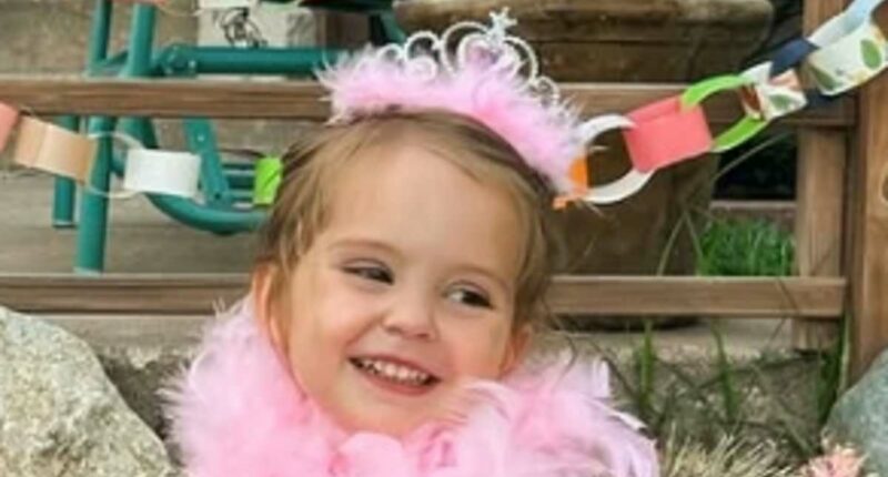 Girl bitten by rattlesnake while admiring horses during vacation