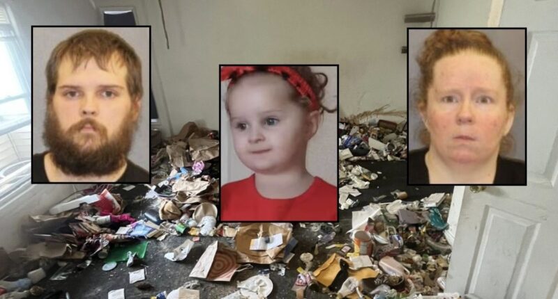 Girl who died after lice infestation had no medical care