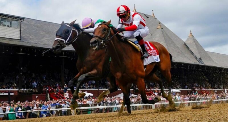Growth Equity profile: 2026 Belmont Stakes odds, post position, history and more to know