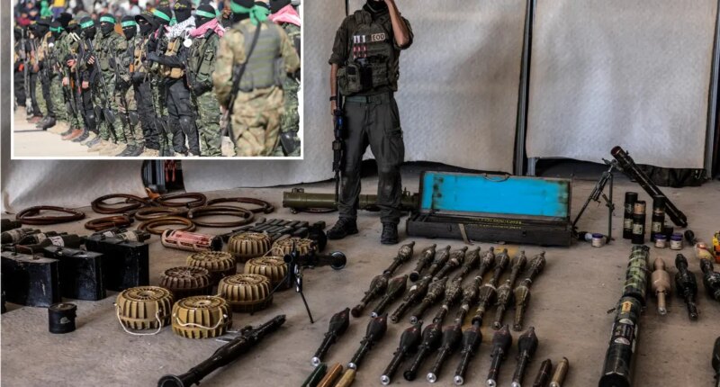 Hamas hardens disarmament stance after talks with Trump adviser: reports