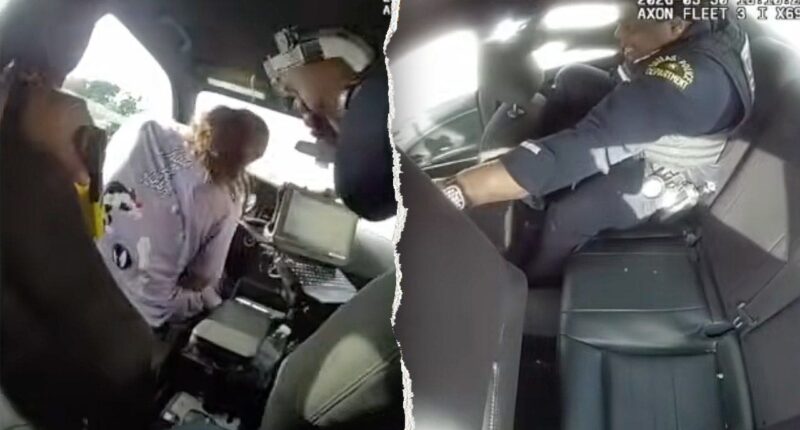 Handcuffed suspect allegedly slips restraints, steals Dallas police cruiser with officer trapped in back seat