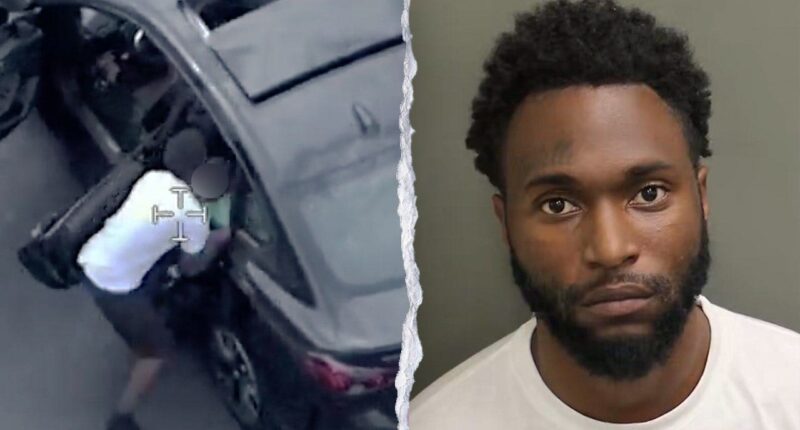 Helicopter footage captures Florida man allegedly abandoning child during high-speed chase from deputies