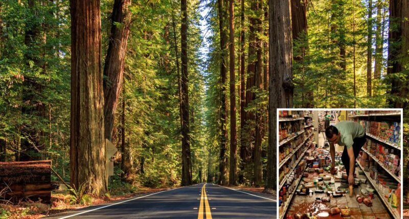 Hidden fault capable of devastating earthquakes uncovered deep in California forest