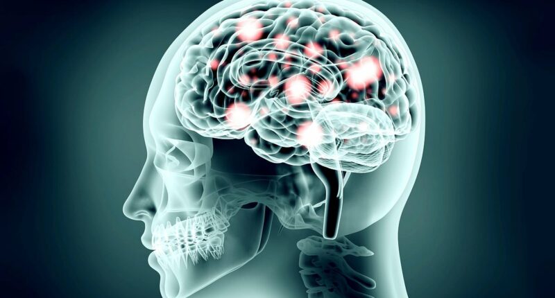 Hope for stroke survivors as researchers improve arm function with simple treatment: 'Can improve movement even years later'