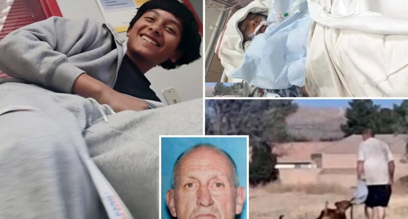 Horror as boy, 12, drowns after jumping into lake after three vicious dogs hunted him down